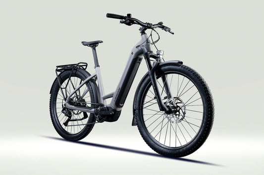 Vélo Electrique VTC Lapierre E-Explorer 5.5 Low graphite grey - matt Taille M